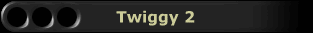 Twiggy 2