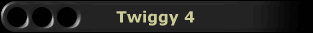 Twiggy 4